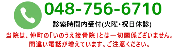 岩槻『井上接骨院』
